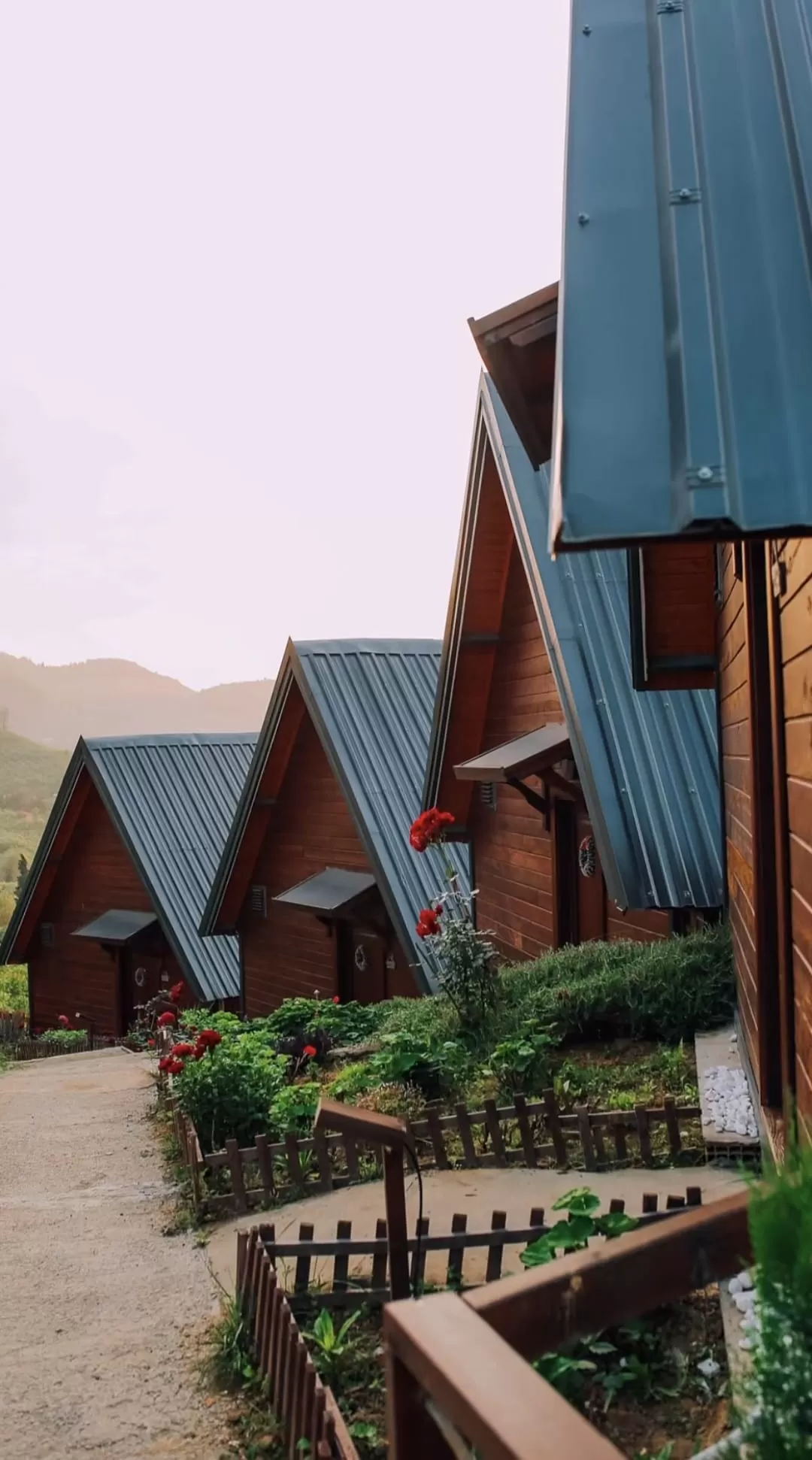Gola Bungalov