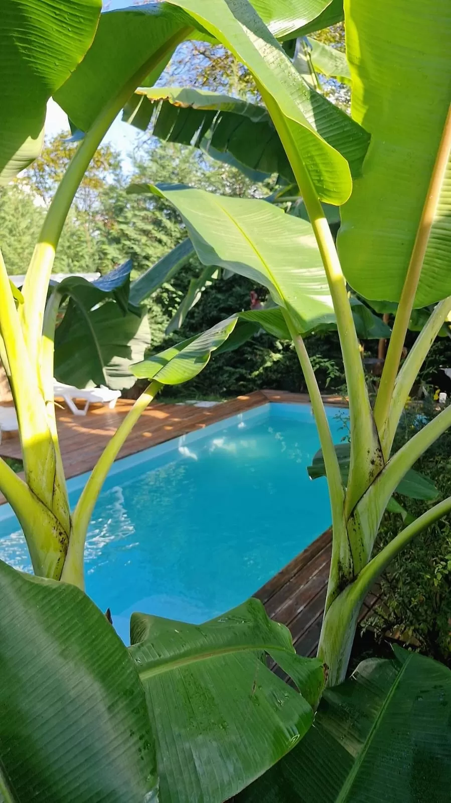 Villa Blue